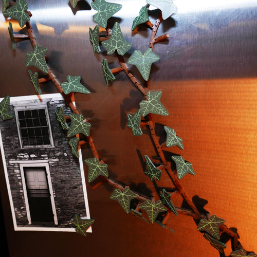 Fridge Ivy: Magnetic Vine Décor