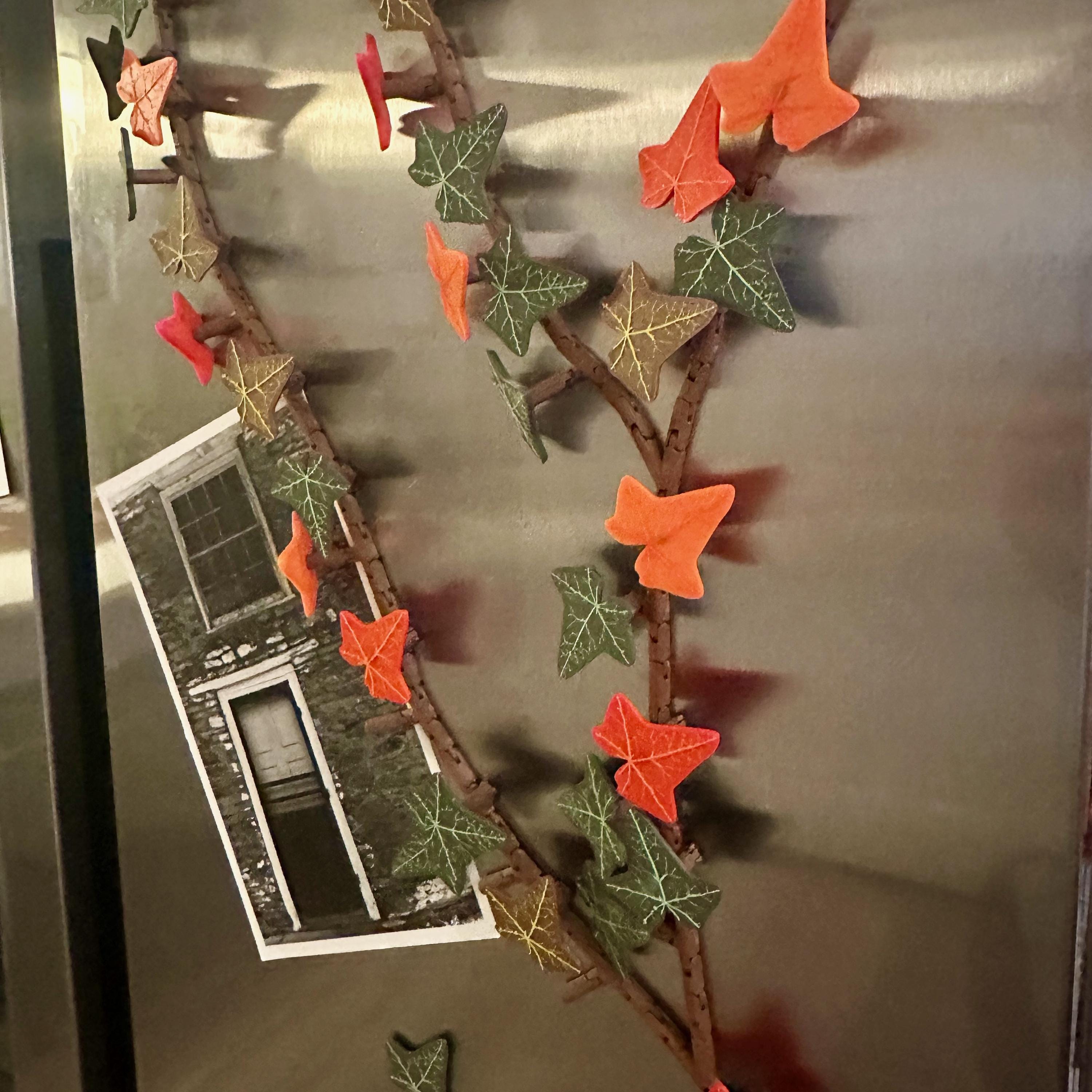 Fridge Ivy: Magnetic Vine Décor