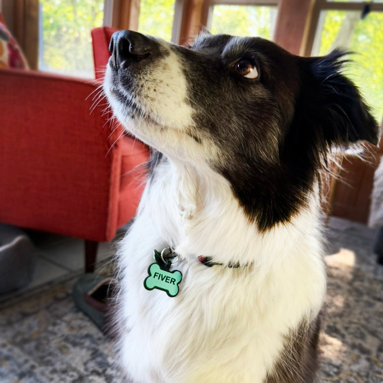 Custom Silicone Pet Tag