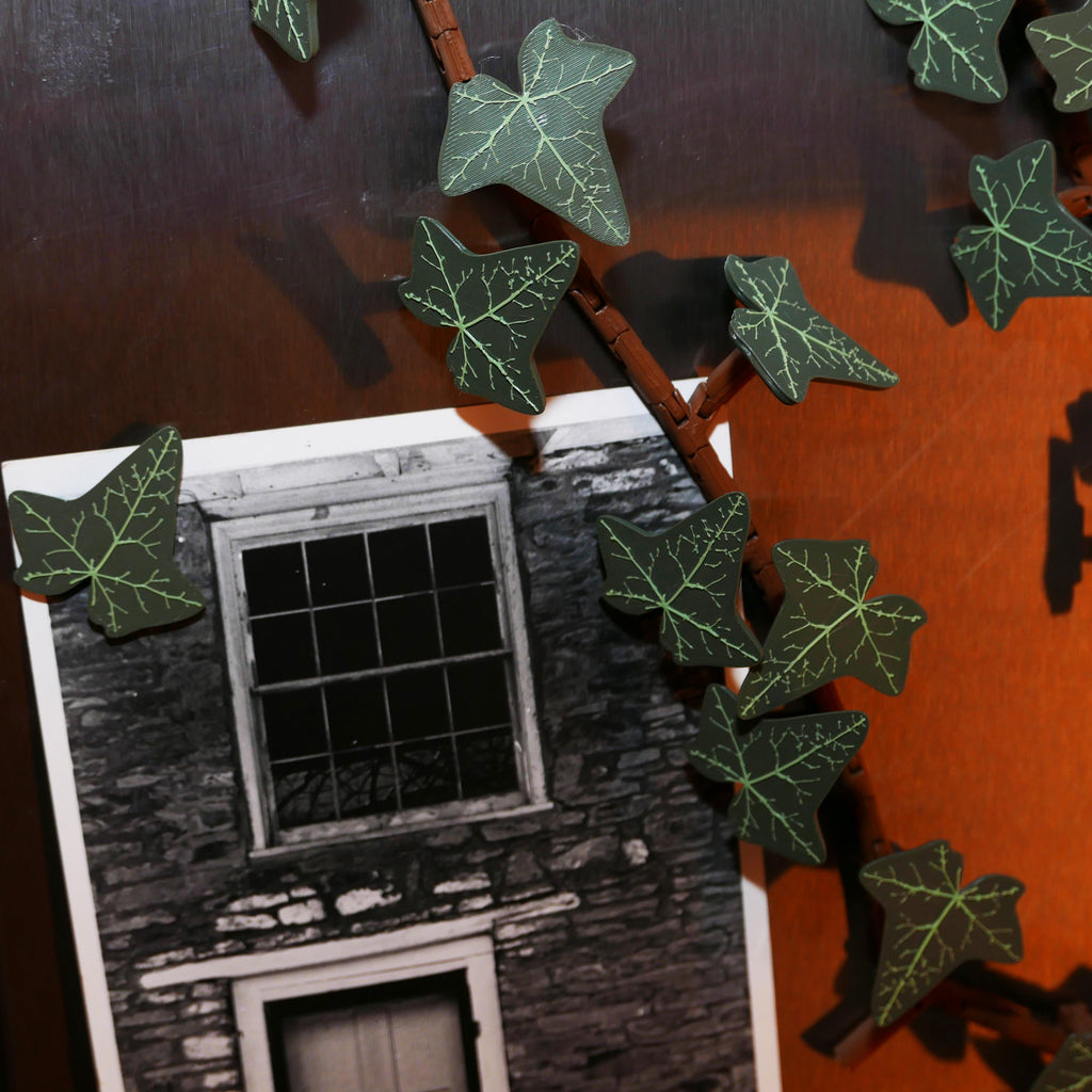 Fridge Ivy: Magnetic Vine Décor