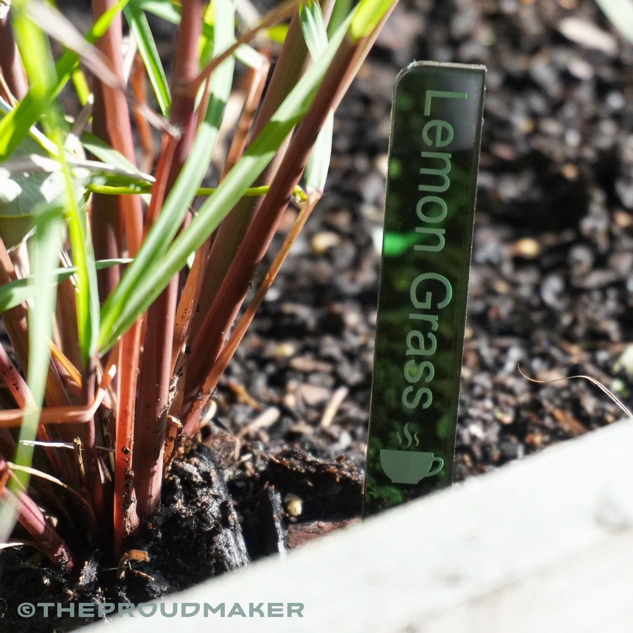 Custom Engraved Plant Markers Set of 8