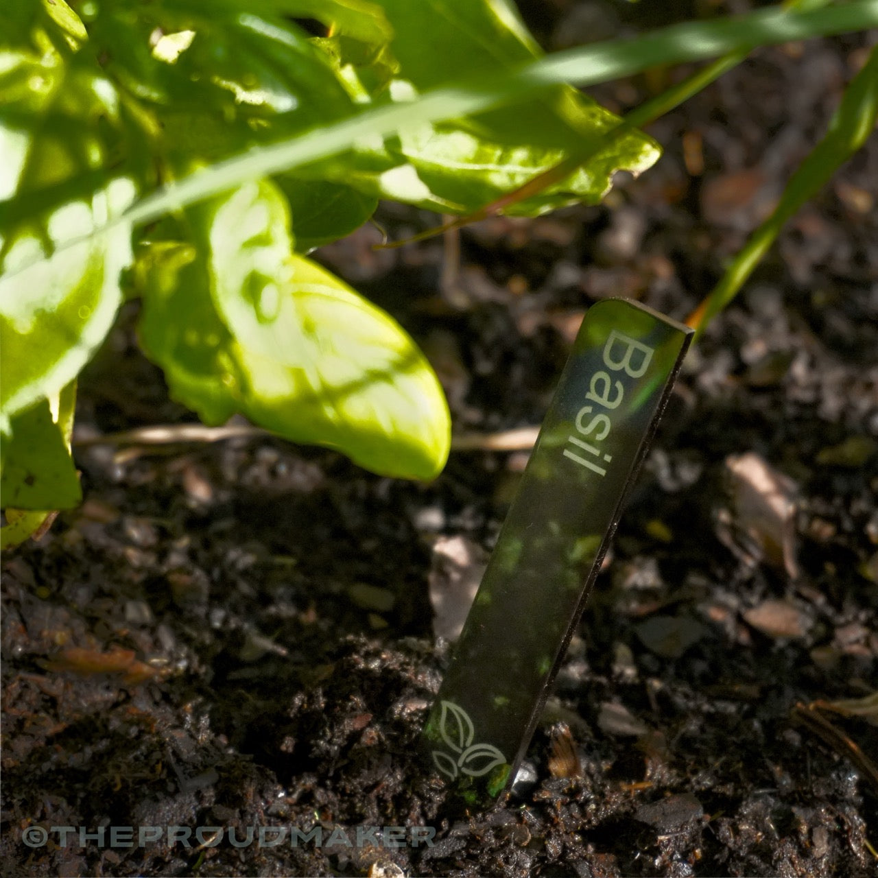 Custom Engraved Plant Markers Set of 8