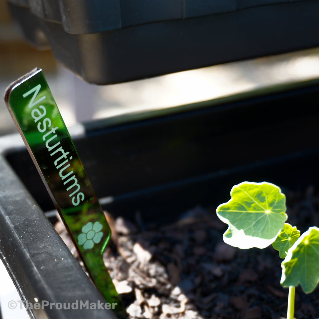 Custom Engraved Plant Markers Set of 8