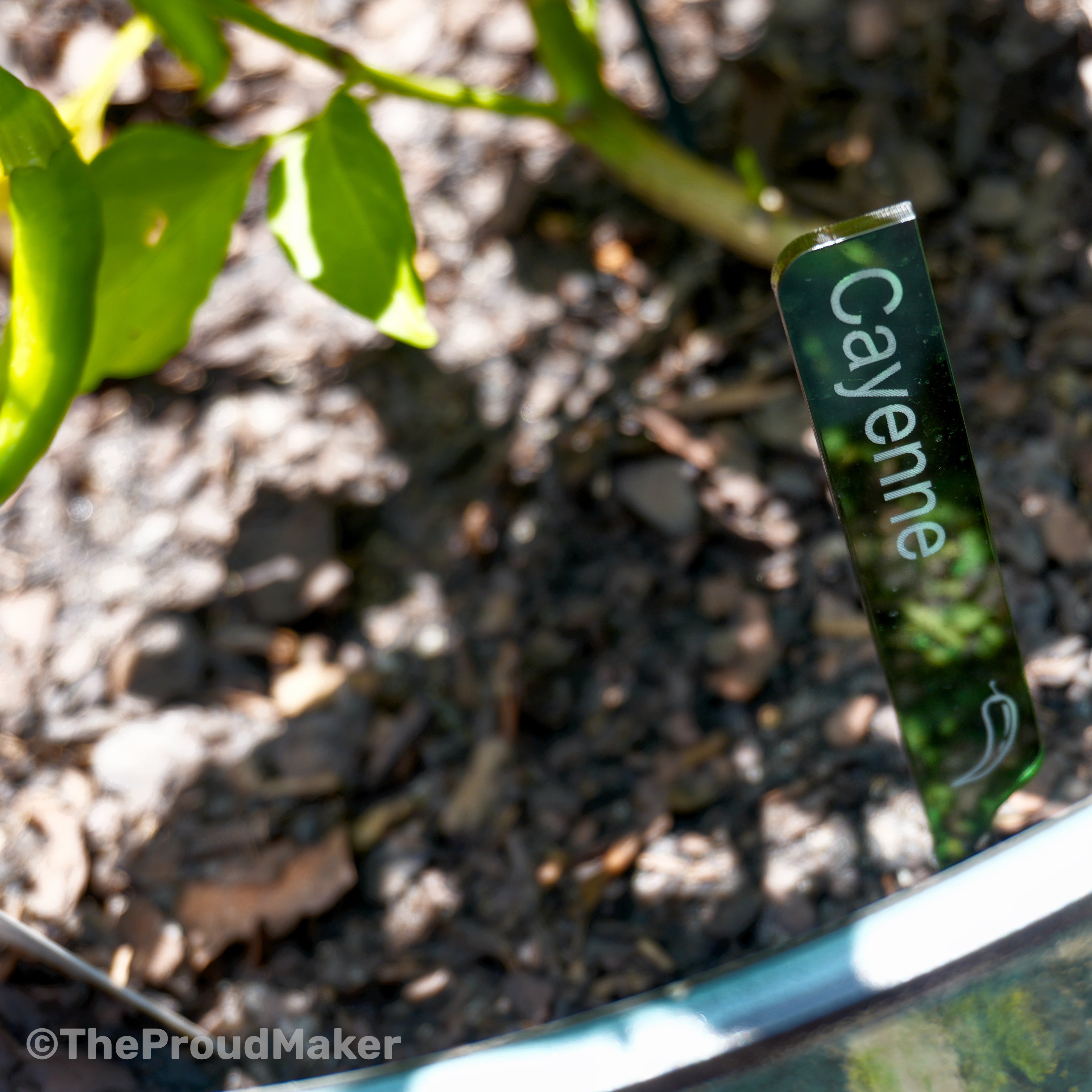 Custom Engraved Plant Markers Set of 8