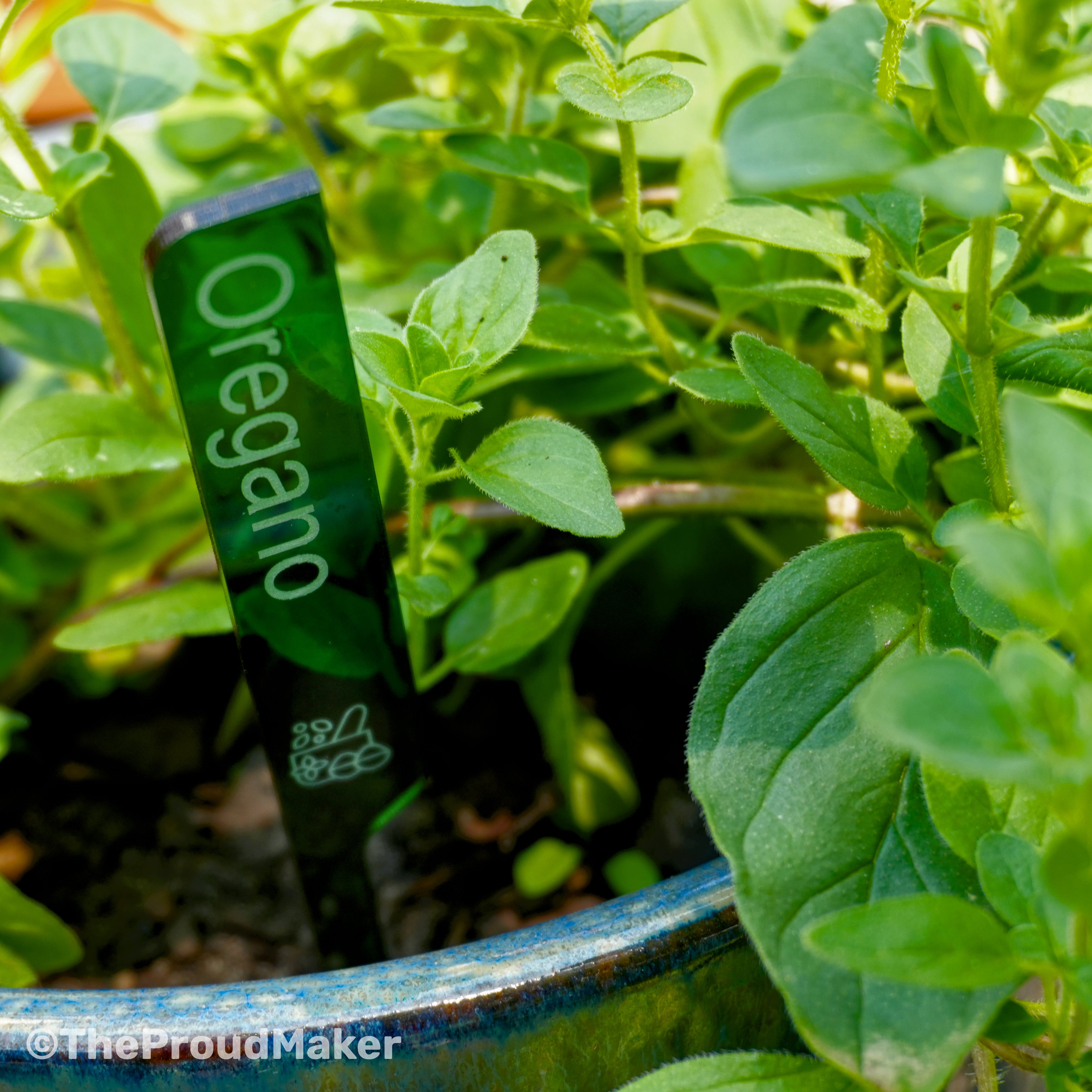 Custom Engraved Plant Markers Set of 8