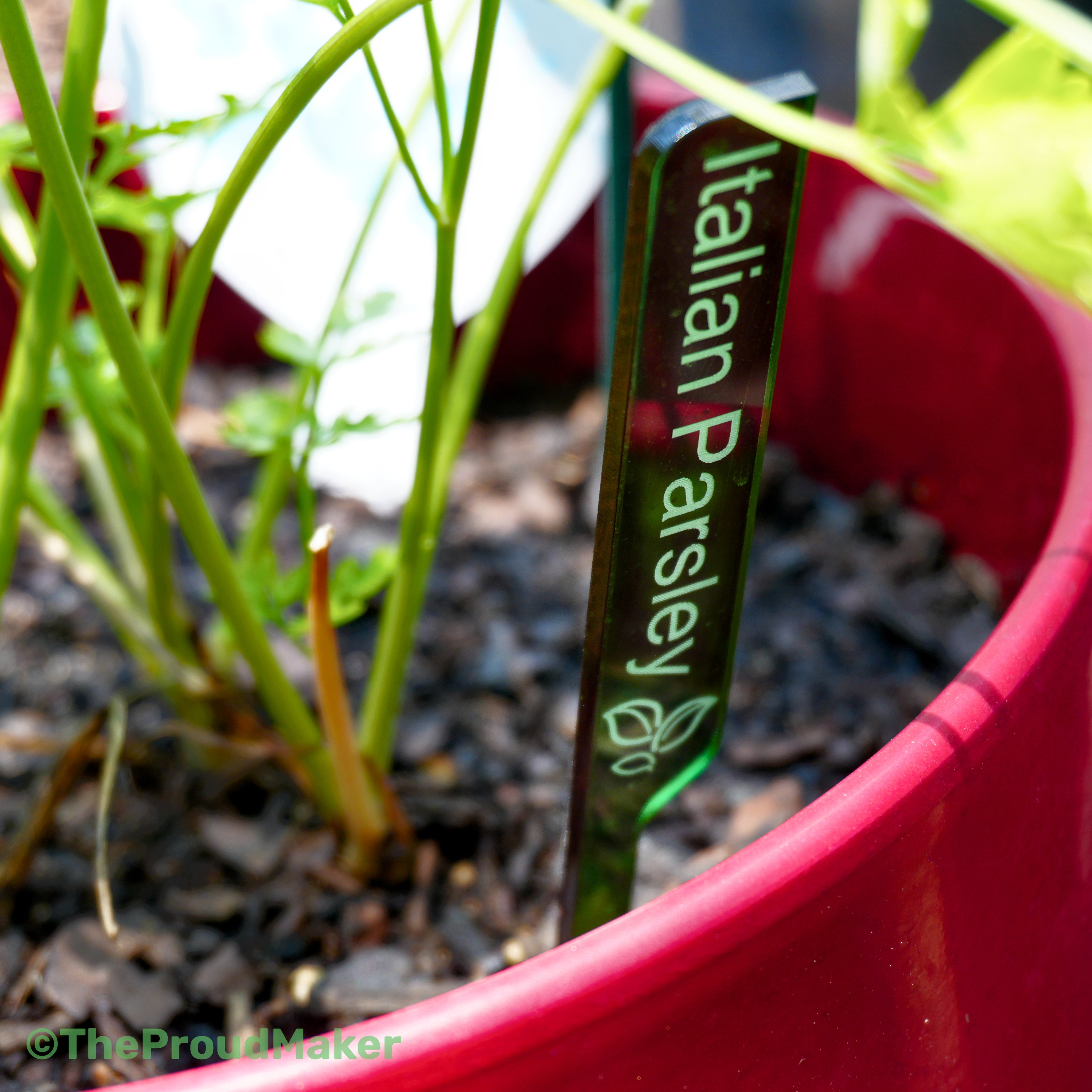 Custom Engraved Plant Markers Set of 8