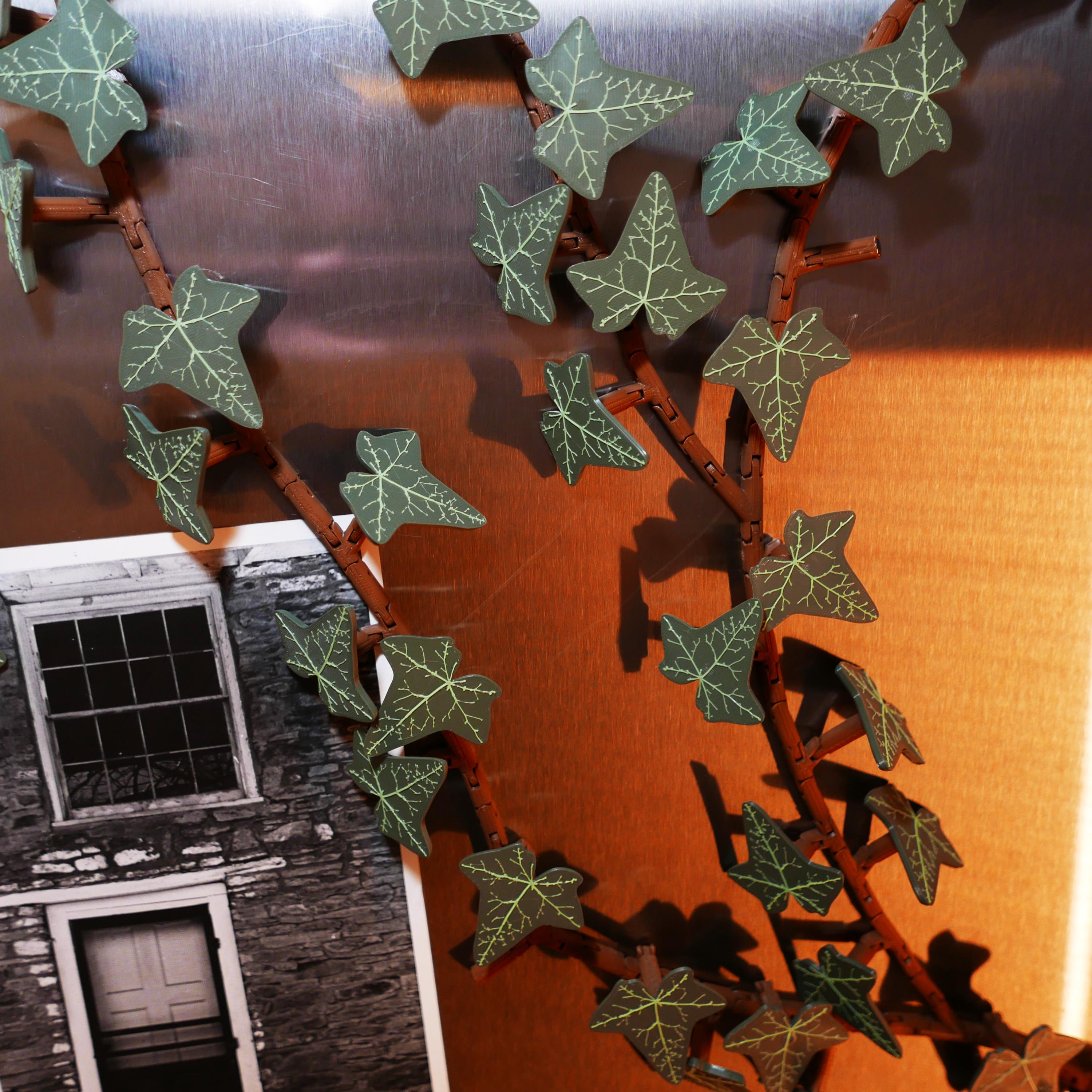 Fridge Ivy: Magnetic Vine Décor